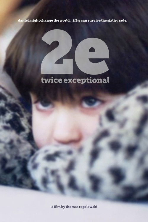 2e: Twice Exceptional (2015) poster