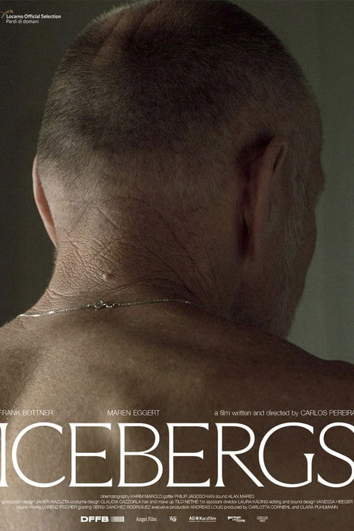 Icebergs (2024) poster