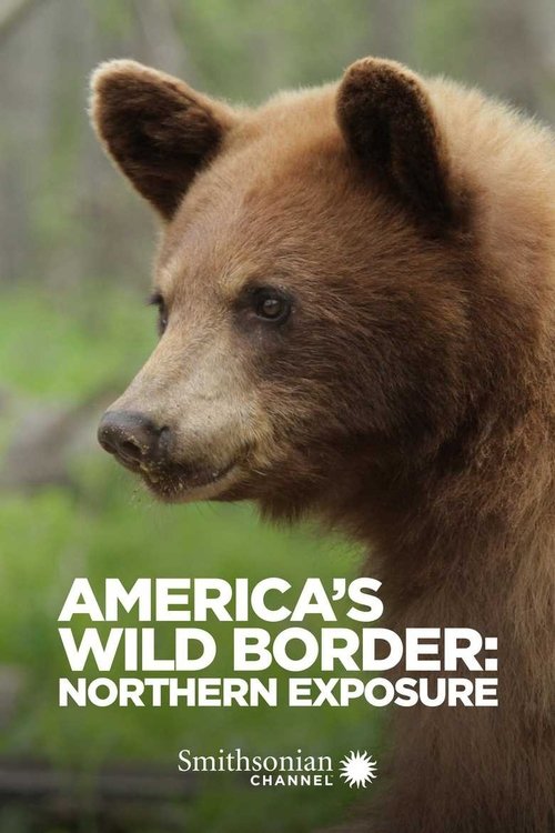 America's Wild Border: Northern Exposure (2020) poster