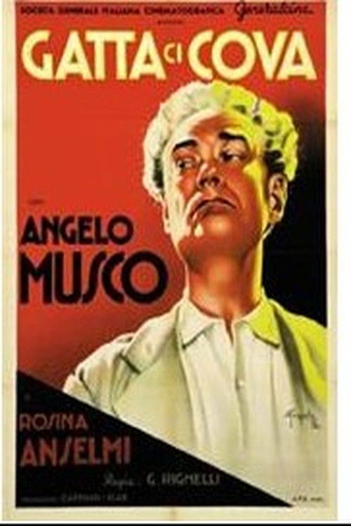 Gatta ci cova (1937) poster