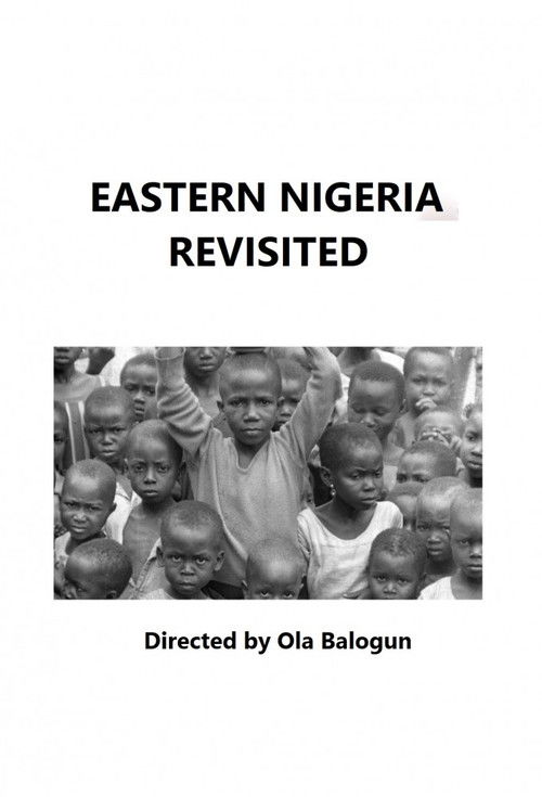 Eastern Nigeria Revisited (1973) poster
