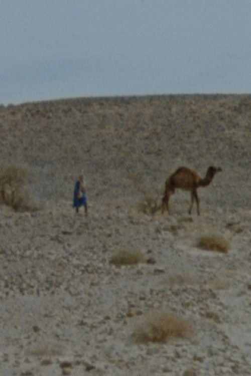 Ab ovo (2017) poster