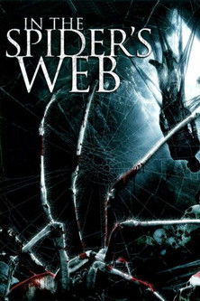 In the Spider's Web (2007) poster