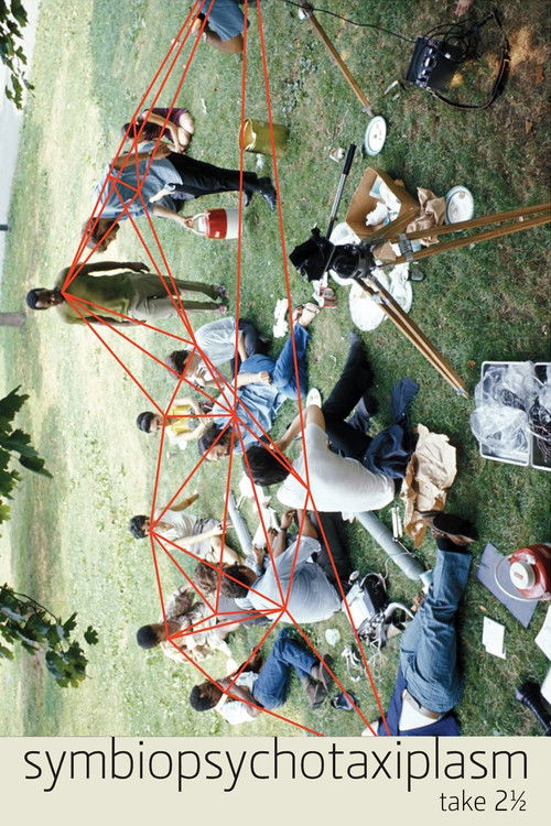 Symbiopsychotaxiplasm: Take 2½ (2005) poster
