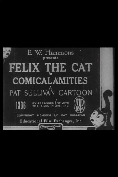 Comicalamities (1928) poster