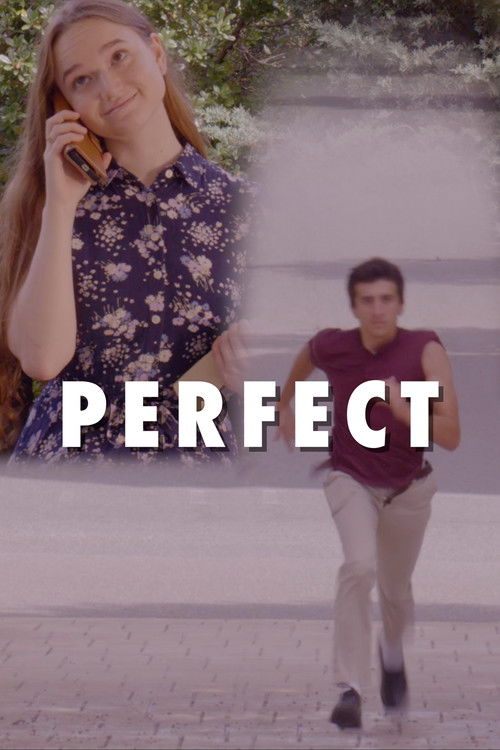 Perfect (2024) poster