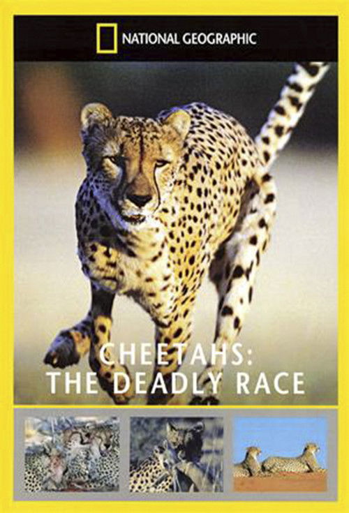 Cheetahs: The Deadly Race (2002) poster