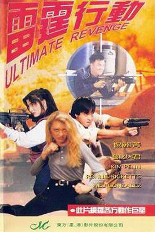 Ultimate Revenge (1995) poster