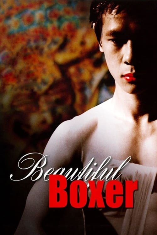 Beautiful Boxer (2003) poster
