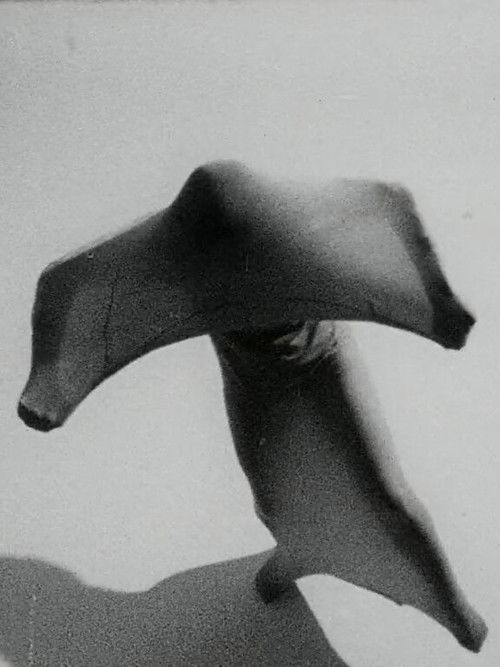 Ana Kamien (1970) poster