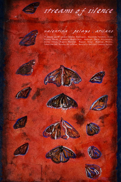 Streams of Silence (2022) poster