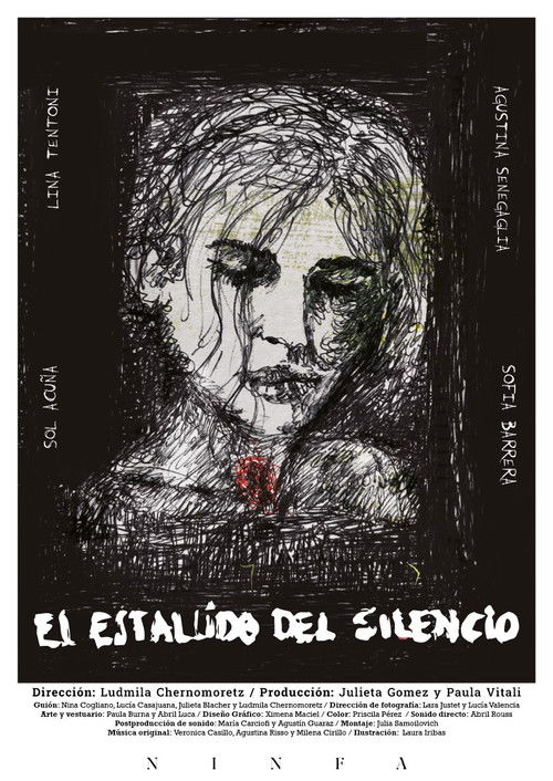 El Estallido del Silencio (2024) poster