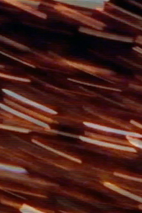 Ritual by Rote (2001) poster