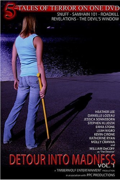 Detour Into Madness Vol 1. (2005) poster