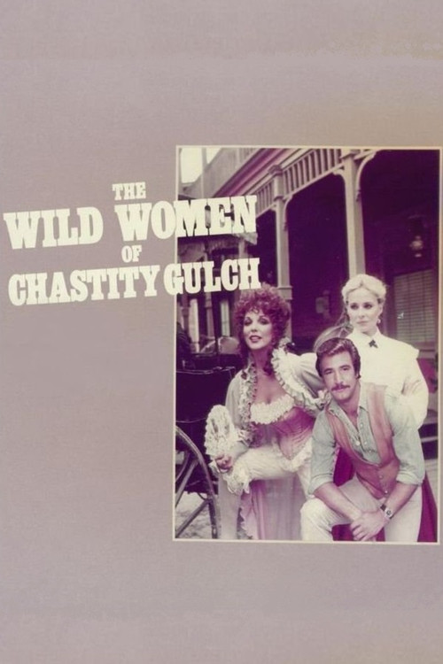 The Wild Women of Chastity Gulch (1982) poster
