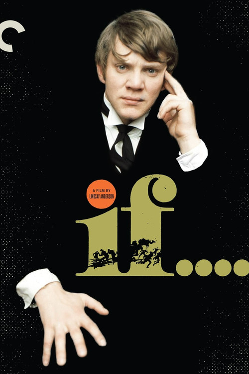 Cast & Crew: If.... (2004) poster