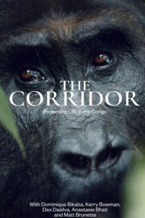 The Corridor poster