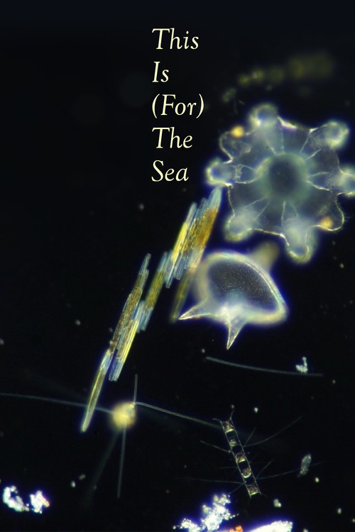 Ovo je (za) more (2025) poster