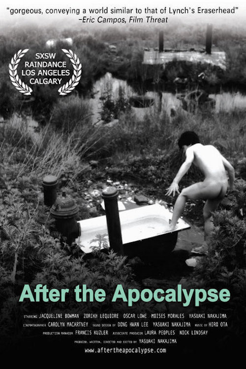 After the Apocalypse (2004) poster