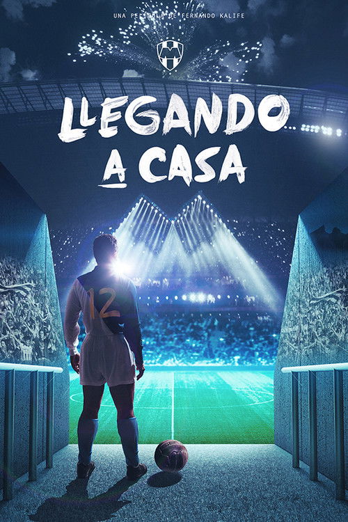 Llegando a casa (2016) poster