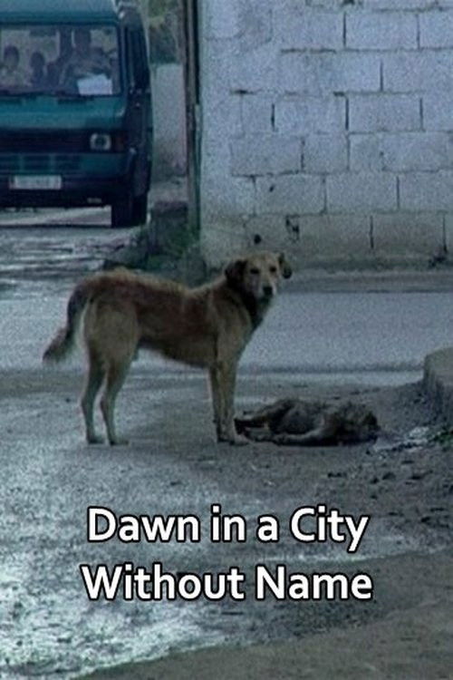 Dawn in a City Without Name (2014) poster