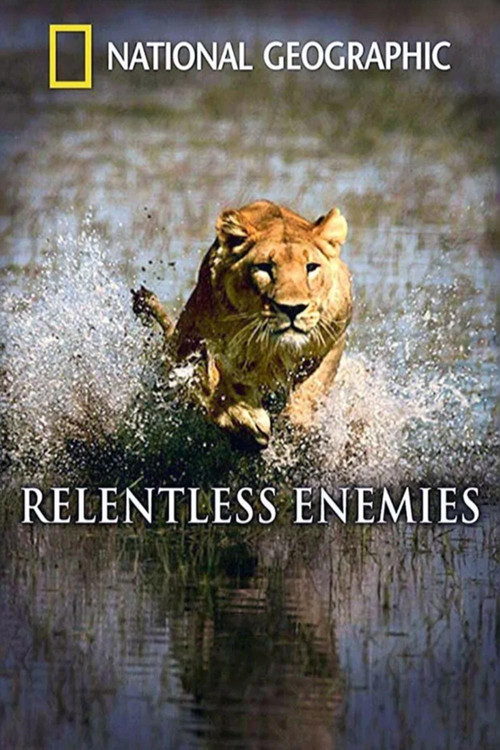 Relentless Enemies: Lions and Buffalo (2006) poster