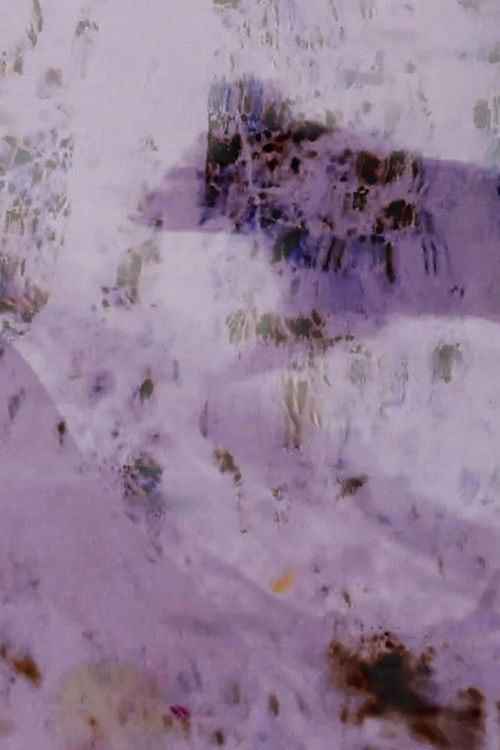 Field of Vision (2021) poster