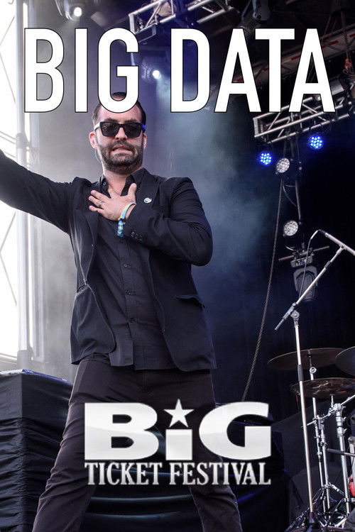 Big Data: Live at The Big Ticket Festival (2014) poster