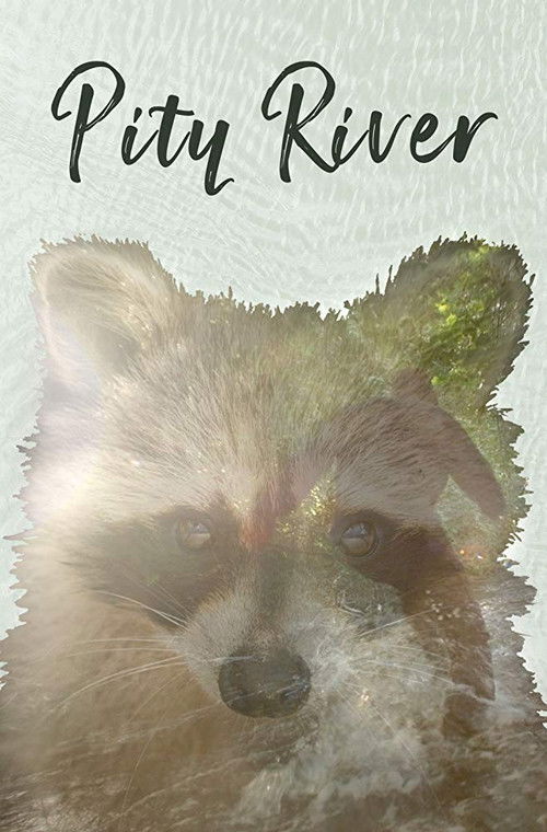 Pity River (2018) poster