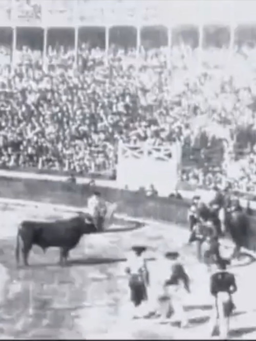 Espagne : courses de taureaux, II (1897) poster