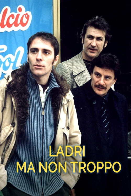 Ladri ma non troppo (2003) poster