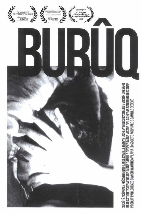 Lightnings (2016) poster