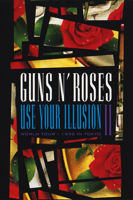 Guns N' Roses: Use Your Illusion World Tour – 1992 in Tokyo II (1992) poster