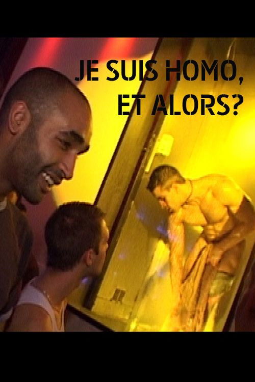 Je suis homo et alors? (2007) poster