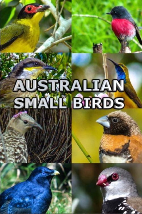 Australian Small Birds (2021) poster