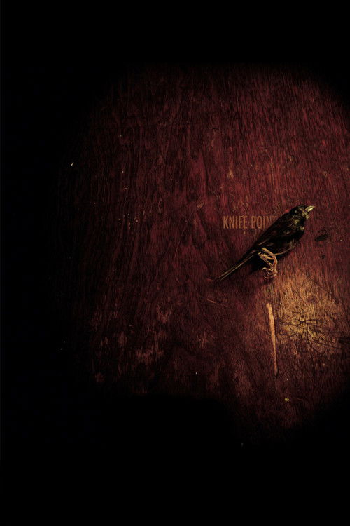 Knife Point (2009) poster