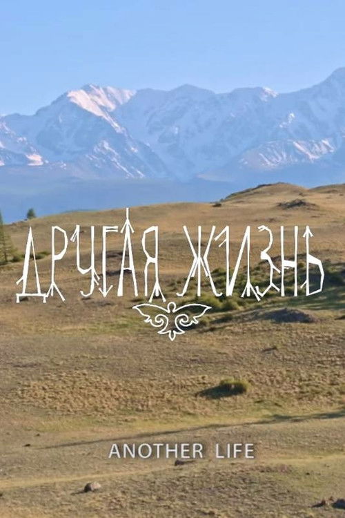 Другая жизнь (2017) poster