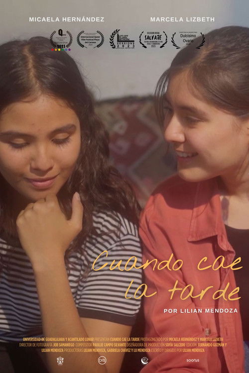 Cuando cae la tarde (2025) poster