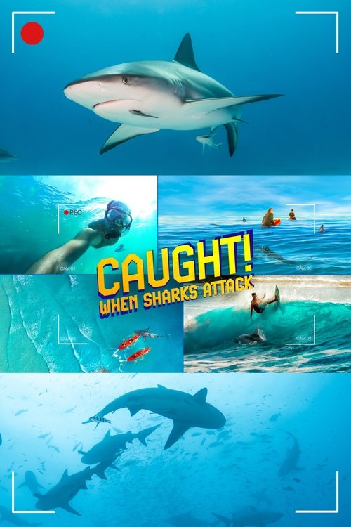 Caught! When Sharks Attack (2024) poster