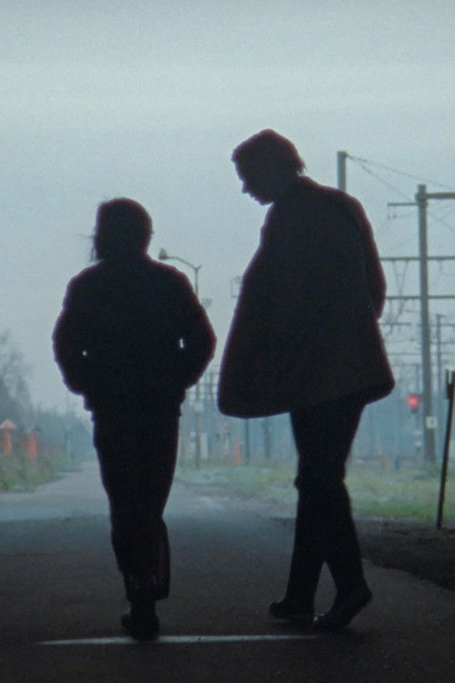 White Goldfish (2020) poster