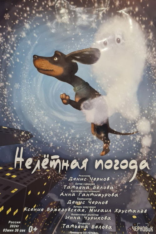 Нелётная погода (2025) poster