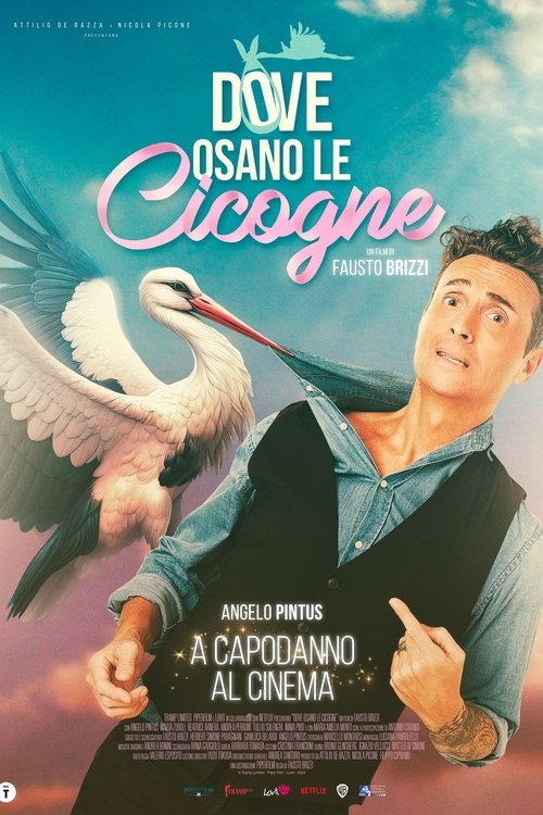 Dove osano le cicogne (2025) poster