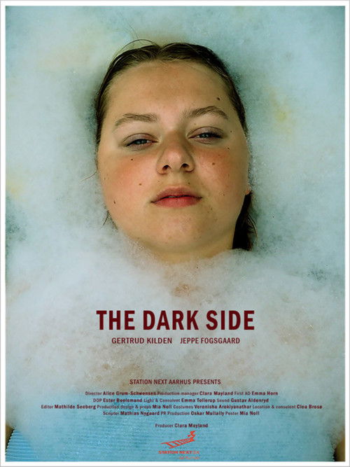 The Dark Side (2020) poster
