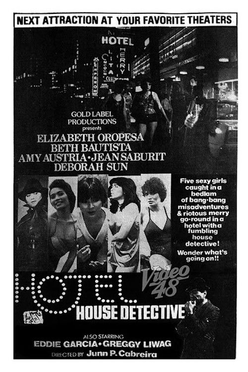 Hotel House Detective (1981) poster