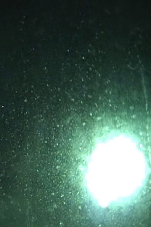 The Visitation (2011) poster