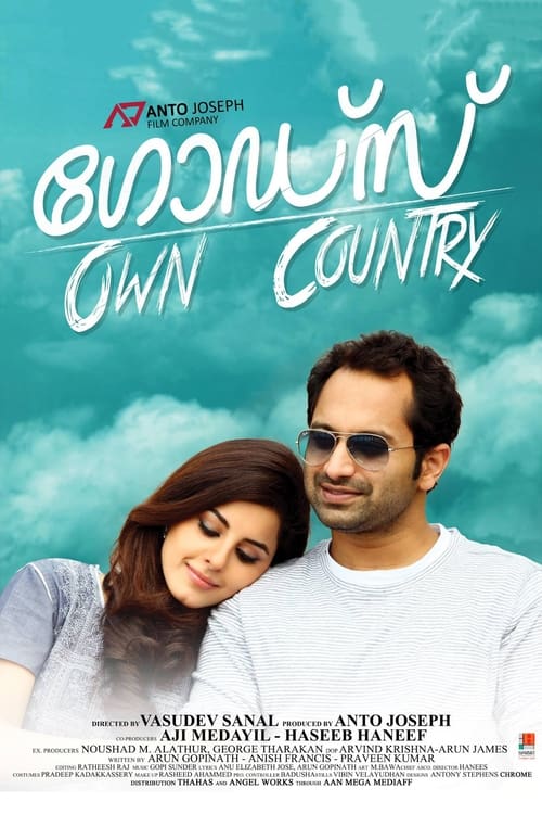 ഗോഡ്സ് Own Country (2014) poster
