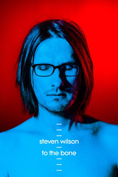 Steven Wilson: Ask Me Nicely - The Making of To The Bone (2017) poster