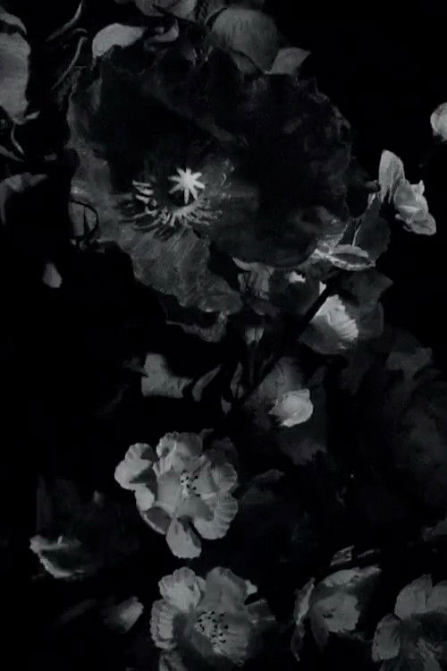 One Eye Open (2011) poster