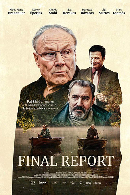 Final Report (2020) poster