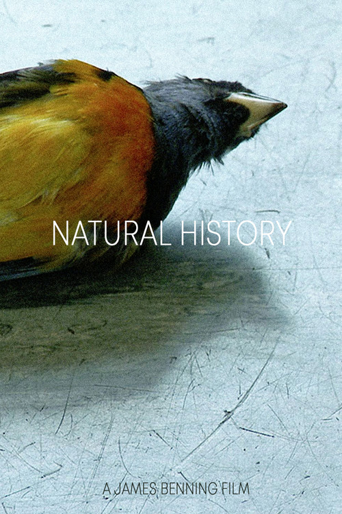 Natural History (2014) poster